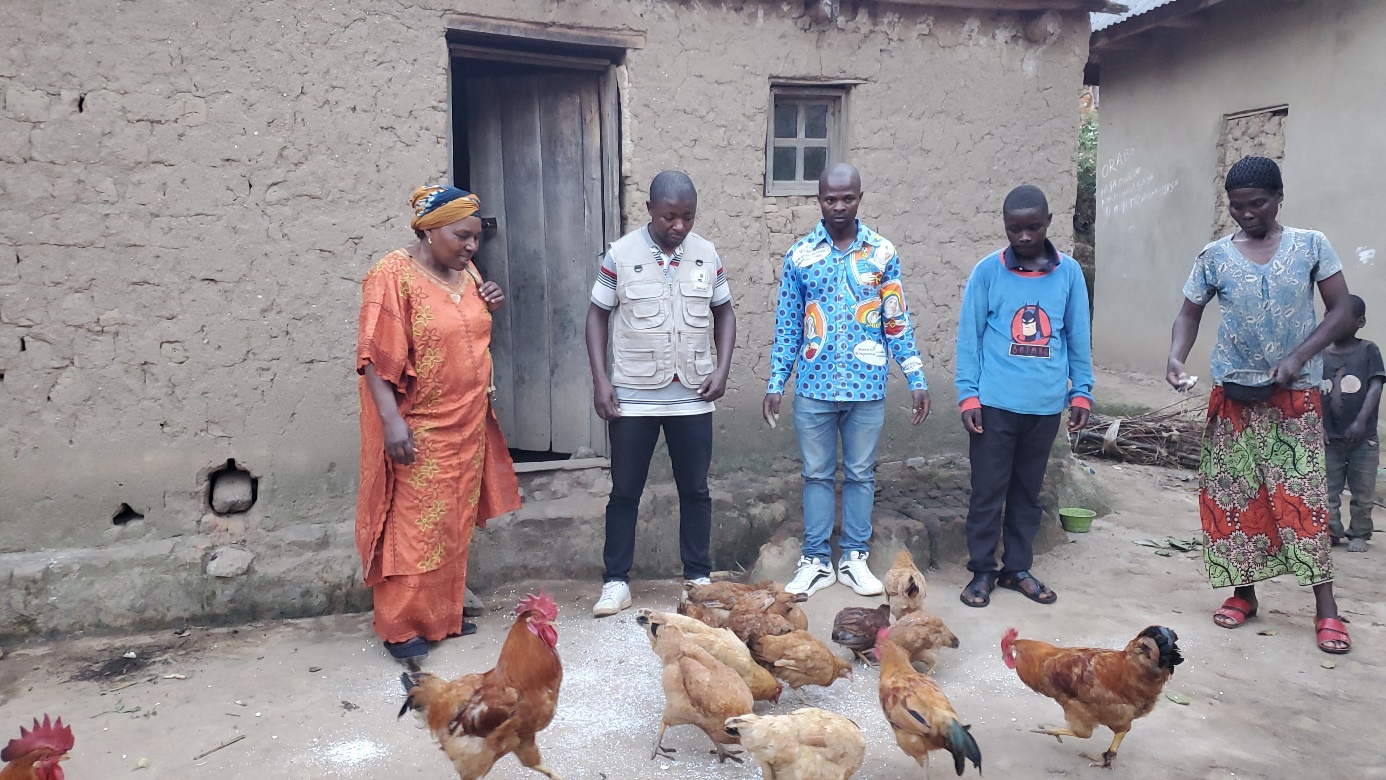 Élevage de poulets et initiatives collectives